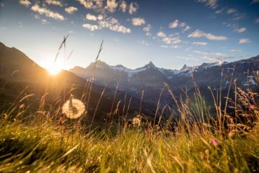 Bergbahnausflüge & Gipfelerlebnisse | (c) Jungfrau Region Tourismus AG | Foto: David Birri