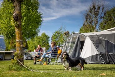 Hunde sind auf dem Camping Hobby in Unterseen - Interlaken herzlich willkommen | Foto: David Birri